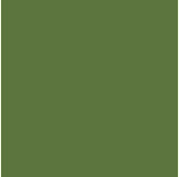Description&nbsp;: C:\Users\Sylvain\Documents\WEB\sphib-sg\public_html\images\menuleft-olive-box.gif